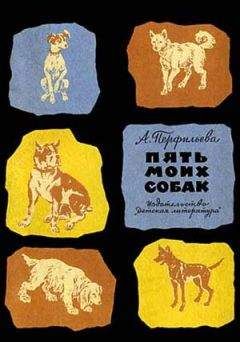 Анастасия Перфильева - Пять моих собак - <a href=