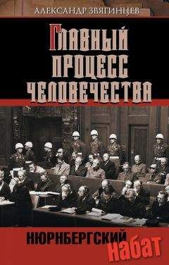 Александр Звягинцев - Нюрнбергский набат. Репортаж из прошлого, обращение к будущему - <a href=