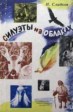 Николай Сладков - Силуэты на облаках - <a href=