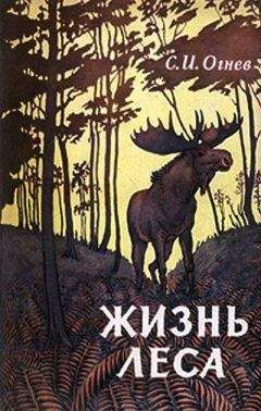 Сергей Огнев - Жизнь леса - <a href=