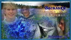 Васильки  - Смирнова Наталья - <a href=