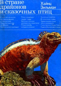 Хайнц Зильман - В стране драконов и сказочных птиц - <a href=