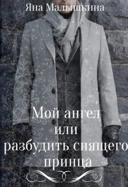Мой ангел или разбудить спящего принца  - Малышкина Яна