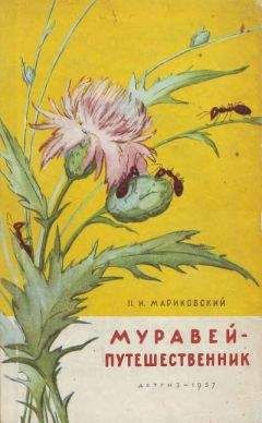 Павел Мариковский - Муравей-путешественник - <a href=