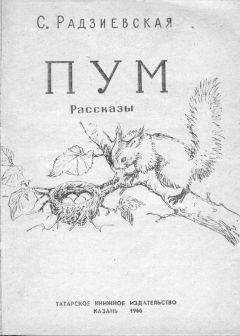 Софья Радзиевская - Пум - <a href=