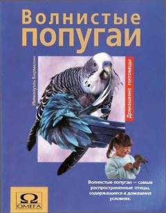 Иммануэль Бирмелин - Волнистые попугаи - <a href=