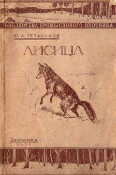 Юрий Герасимов - Ю.А. Герасимов Лисица - <a href=
