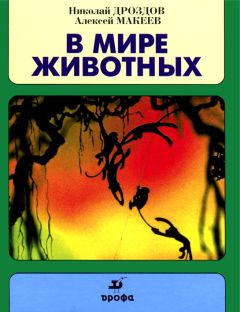 Николай Дроздов - В мире животных - <a href=