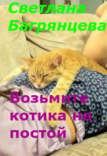 Возьмите котика на постой  - Багрянцева Светлана