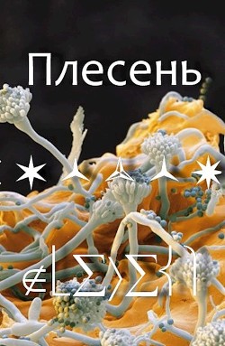 Плесень  - "Майский День" - <a href=