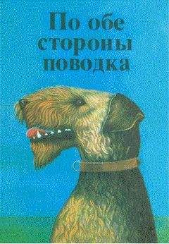 Отто Ольшер - Дог - <a href=