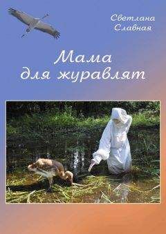 Светлана Славная - Мама для журавлят - <a href=