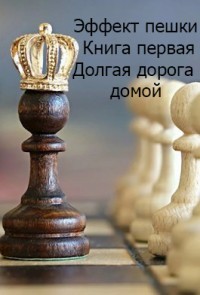 Эффект пешки. Книга первая. Долгая дорога домой  - Софроний Валерий Иванович - <a href=