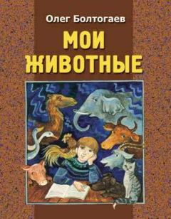 Олег Болтогаев - Василиса - <a href=