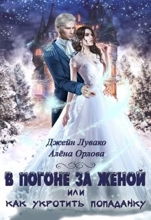 В погоне за женой, или Как укротить попаданку  - Лувако Джейн