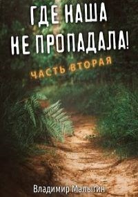 Где наша не пропадала 2  - Малыгин Владимир - <a href=