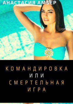 Командировка  - Амбер Анастасия