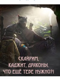 Скайрим, каджит, драконы. Что ещё тебе нужно?!  - Бэйн Викмар