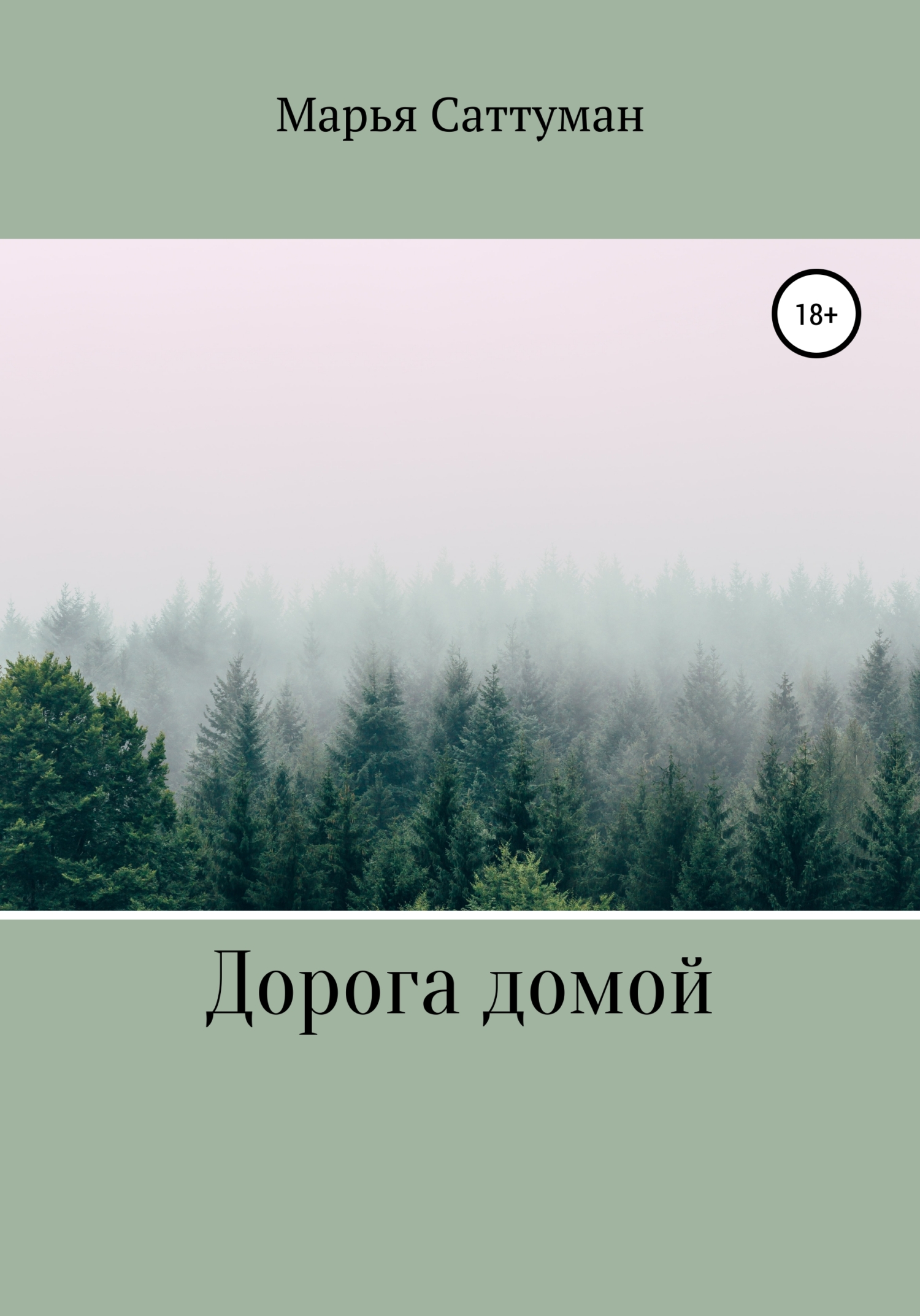 Дорога домой - Марья Саттуман - <a href=