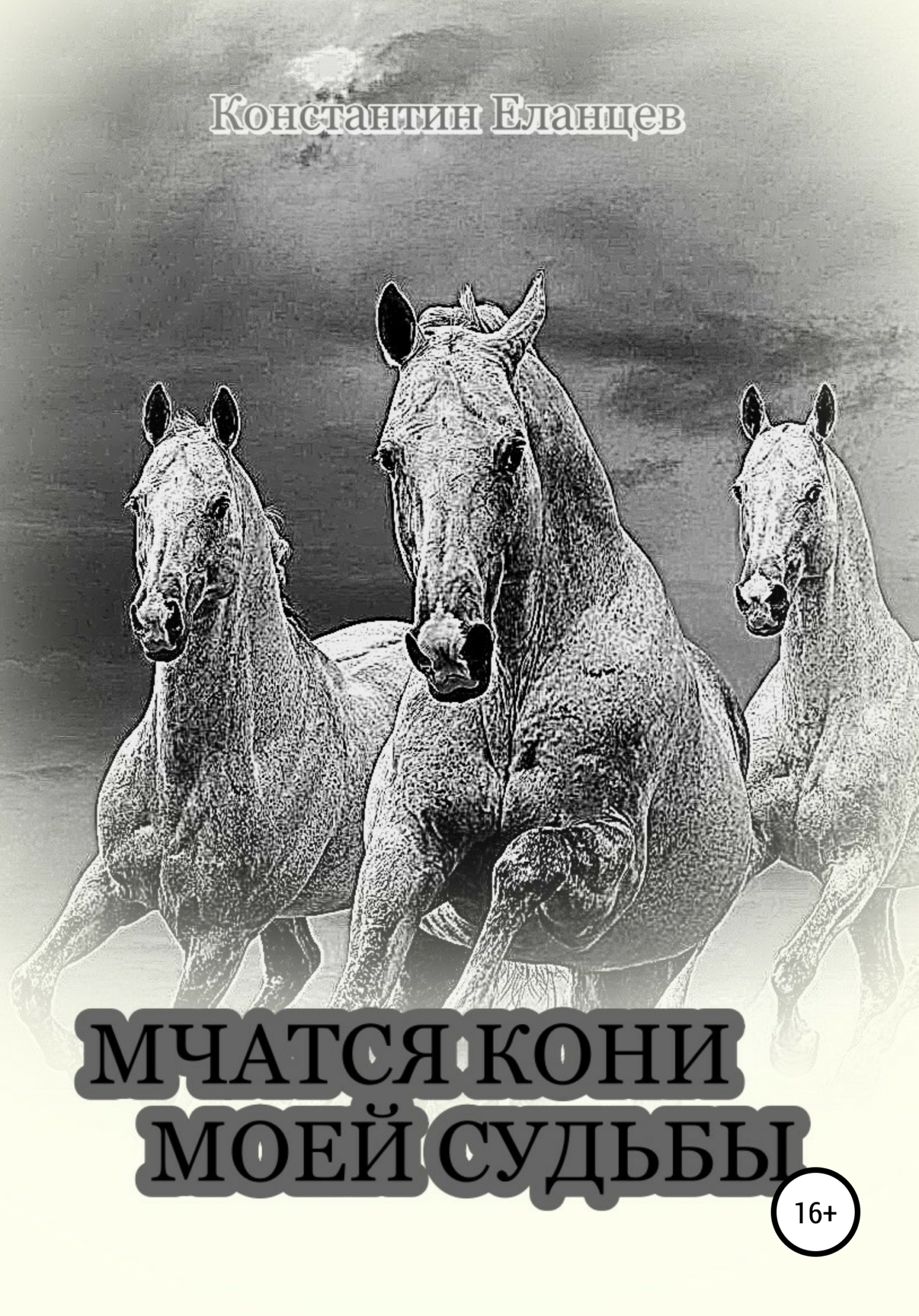 Мчатся кони моей судьбы - Константин Викторович Еланцев - <a href=