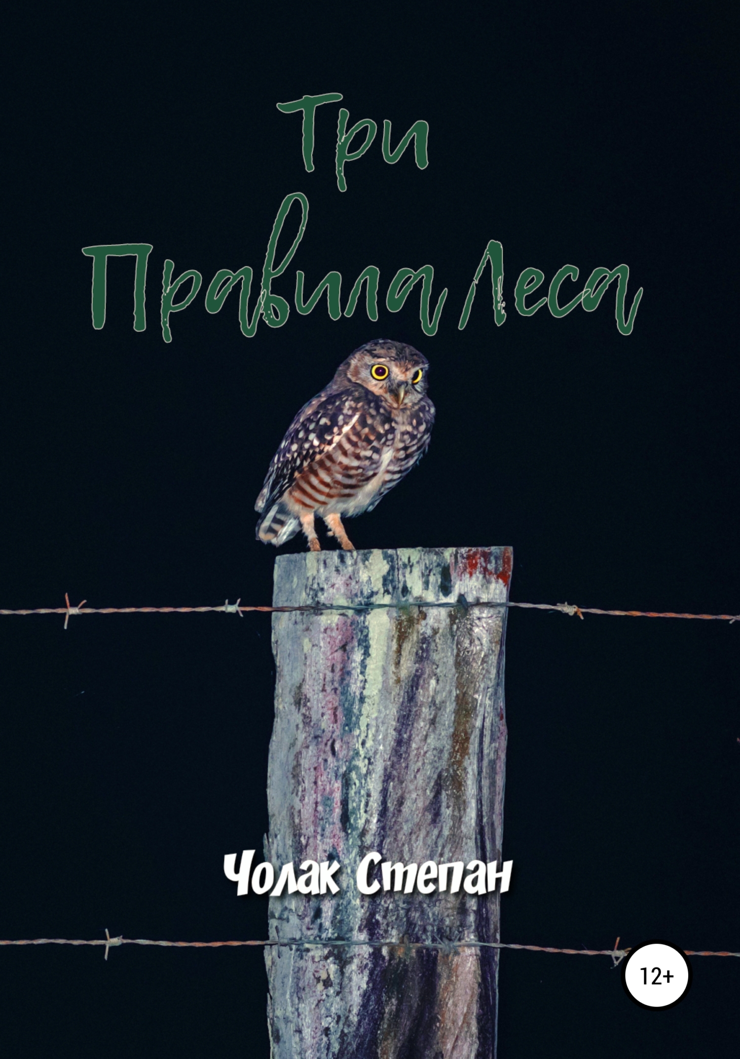 Три правила леса - Степан Дмитриевич Чолак - <a href=