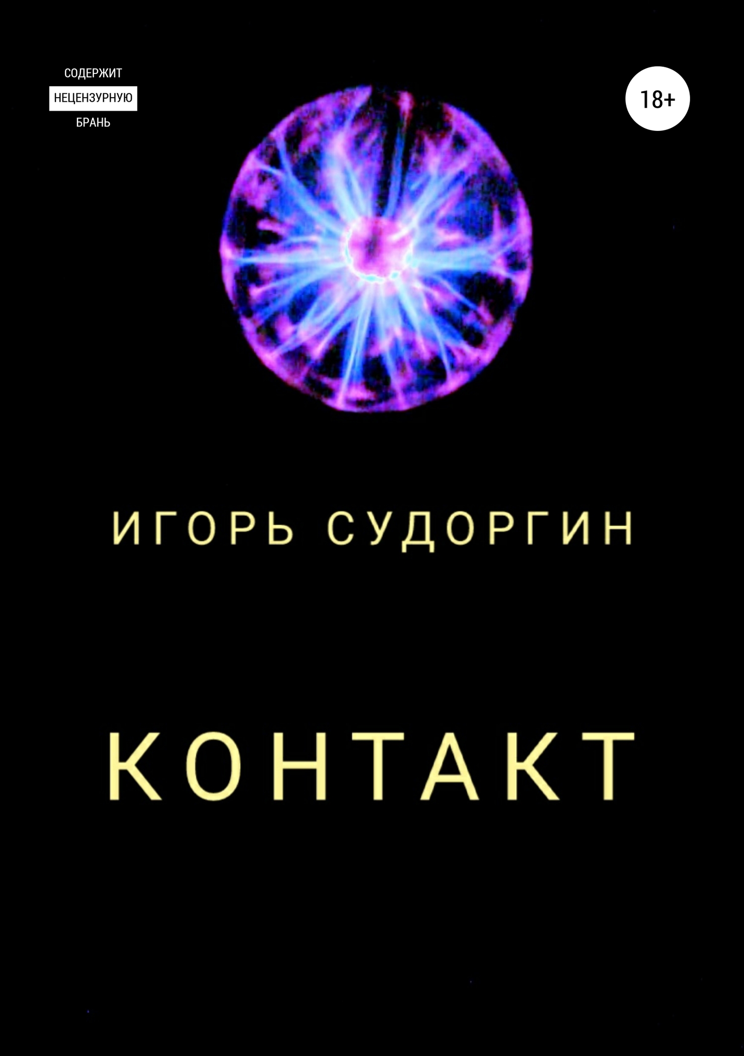 Контакт - Игорь Вячеславович Судоргин - <a href=