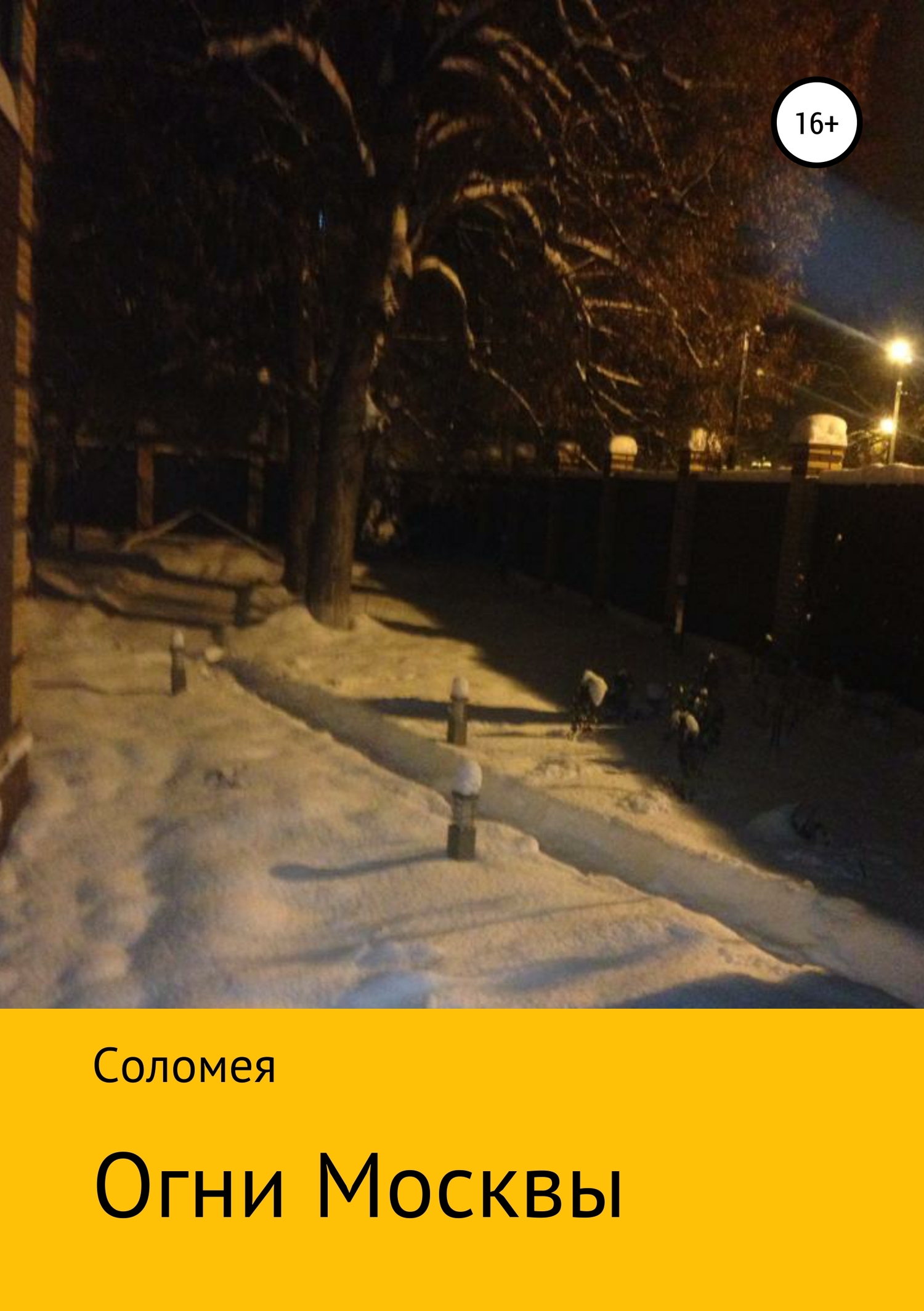 Огни Москвы - Вера Ивановна Соломея - <a href=