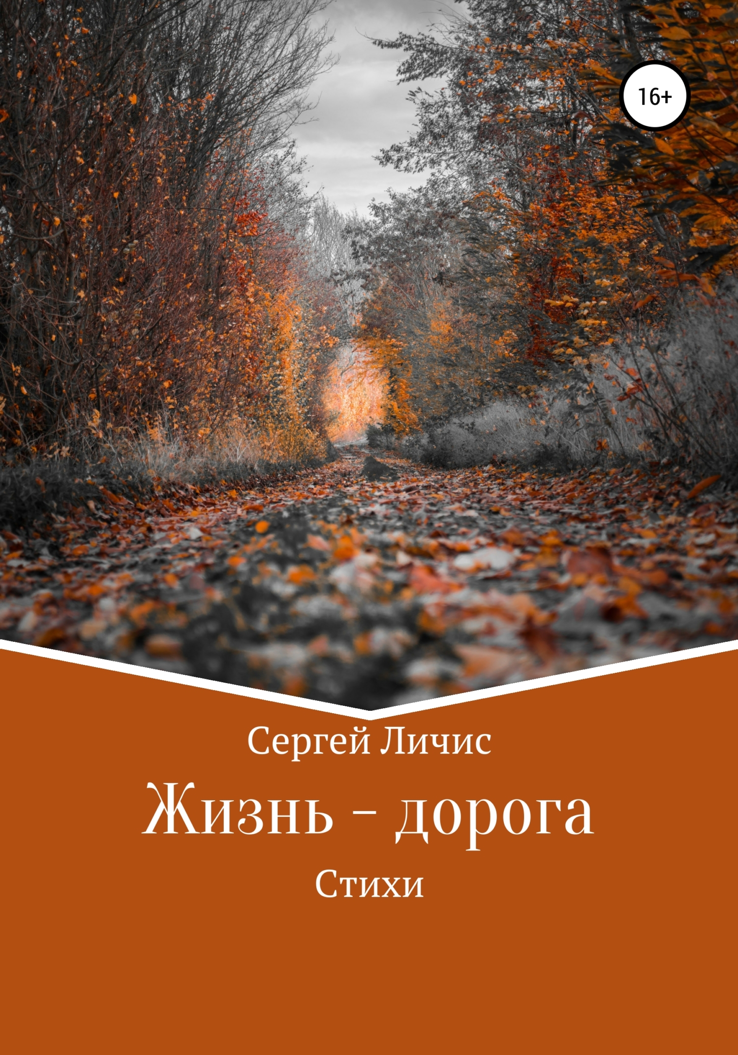 Жизнь – дорога - Сергей Юрьевич Личис - <a href=