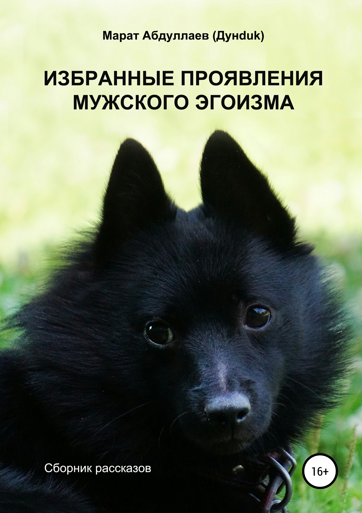 Избранные проявления мужского эгоизма. Сборник рассказов - Марат Абдуллаев - <a href=