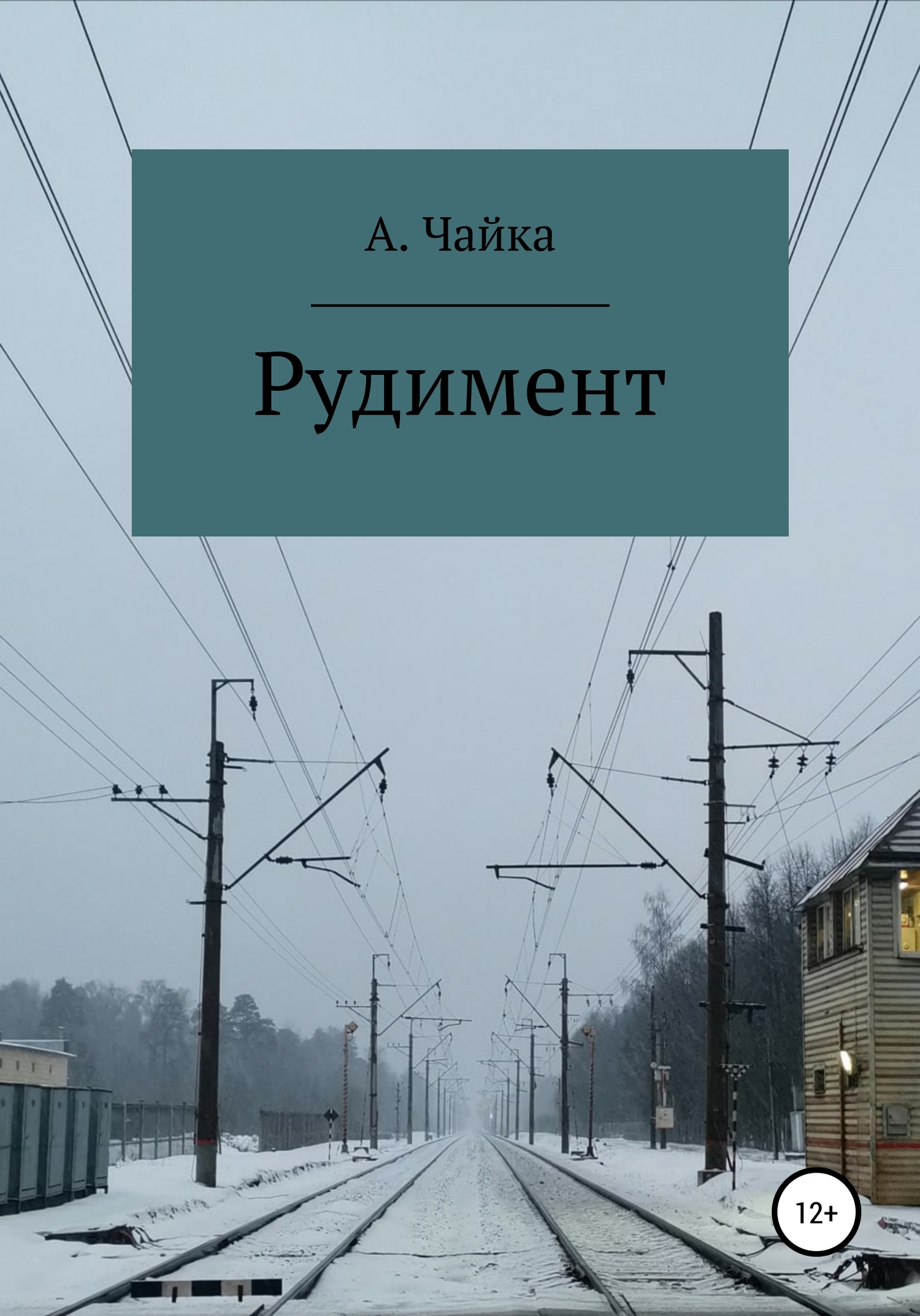 Рудимент - Алина Андреевна Чайка