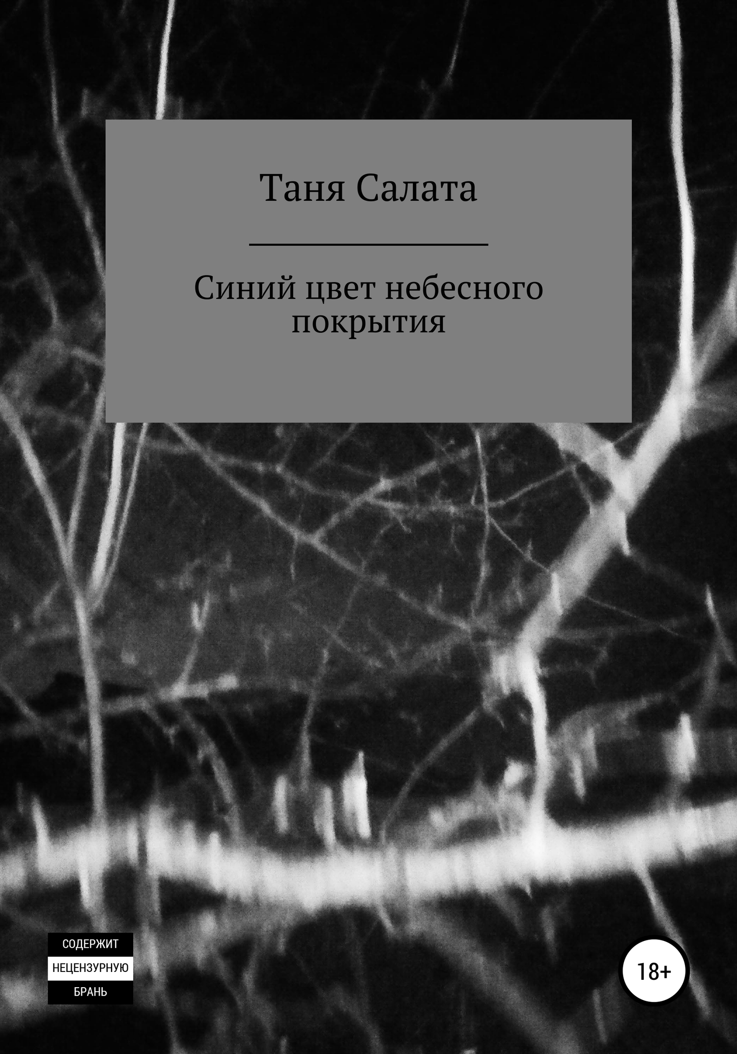 Синий цвет небесного покрытия - Таня Салата - <a href=