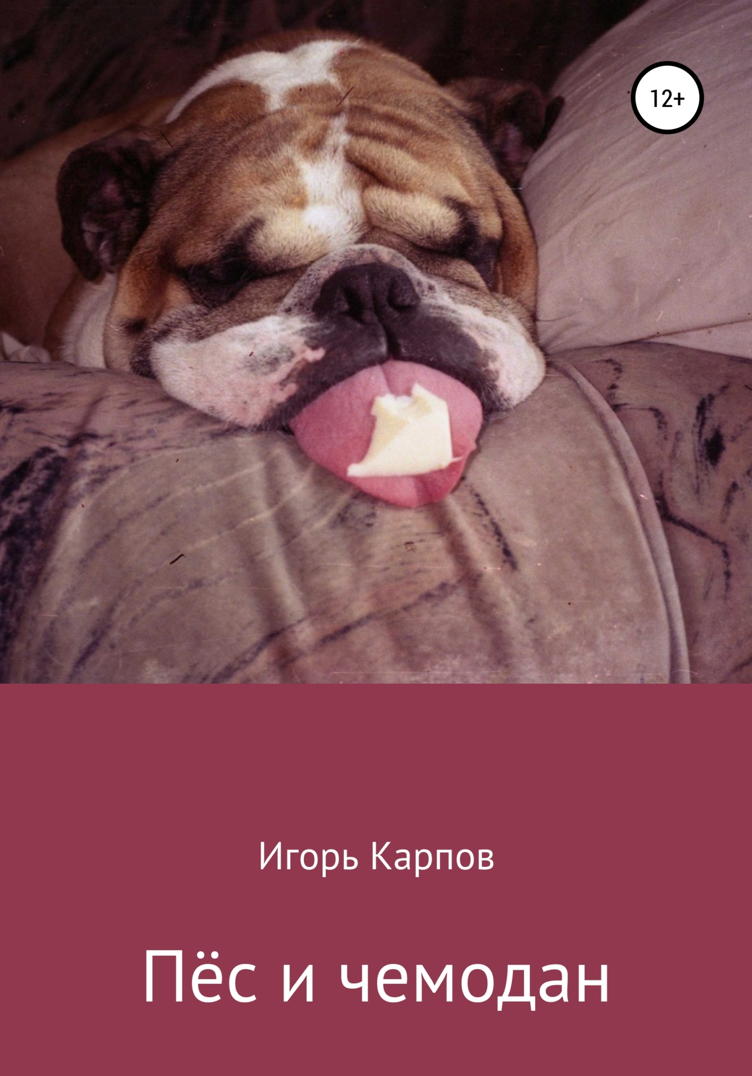 Пёс и чемодан - Игорь Карпов - <a href=