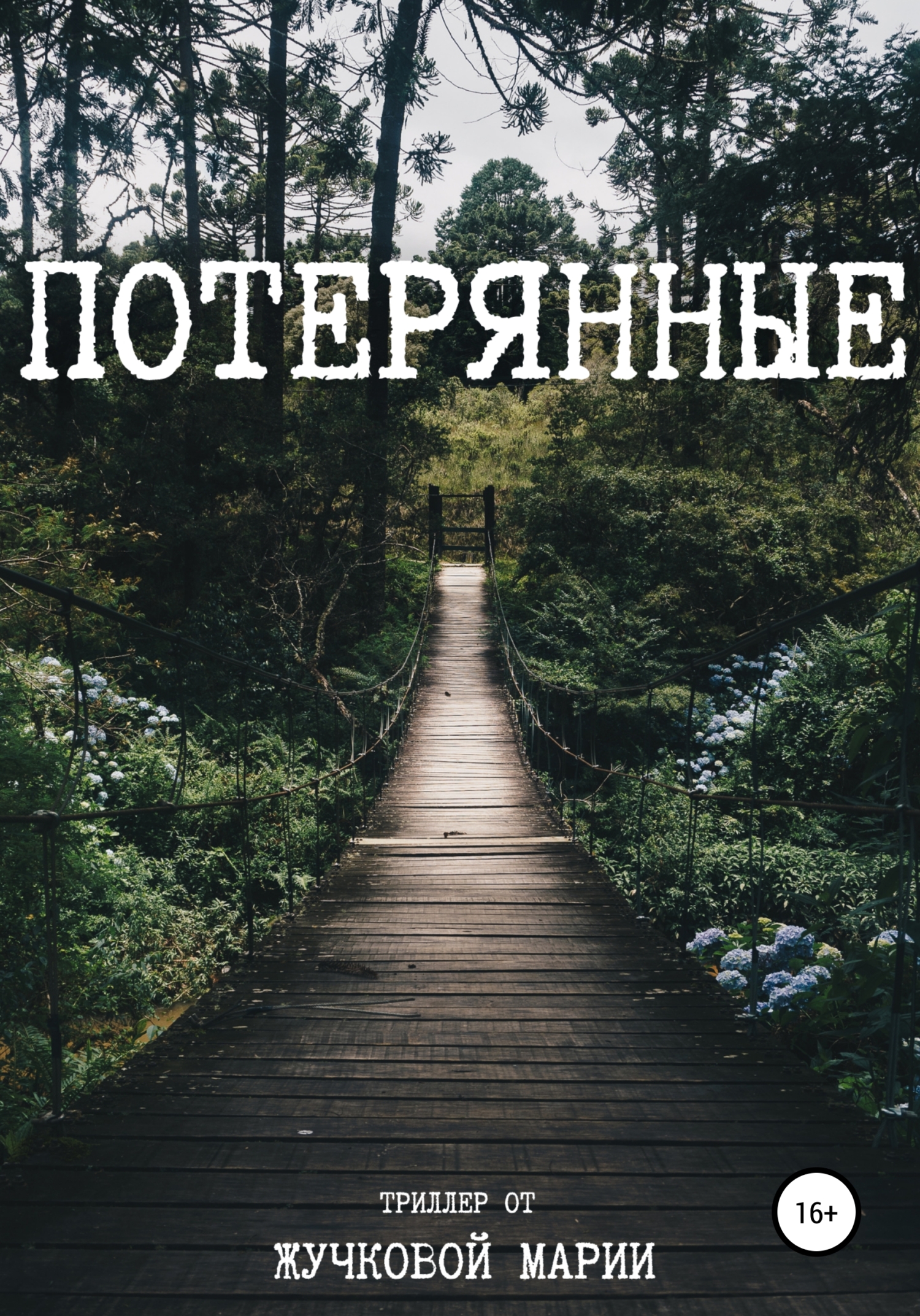 Потерянные - Мария Жучкова - <a href=