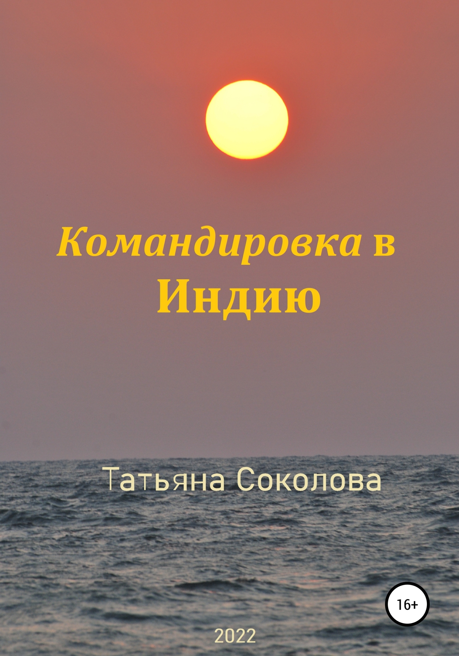 Командировка в Индию - Татьяна Николаевна Соколова - <a href=