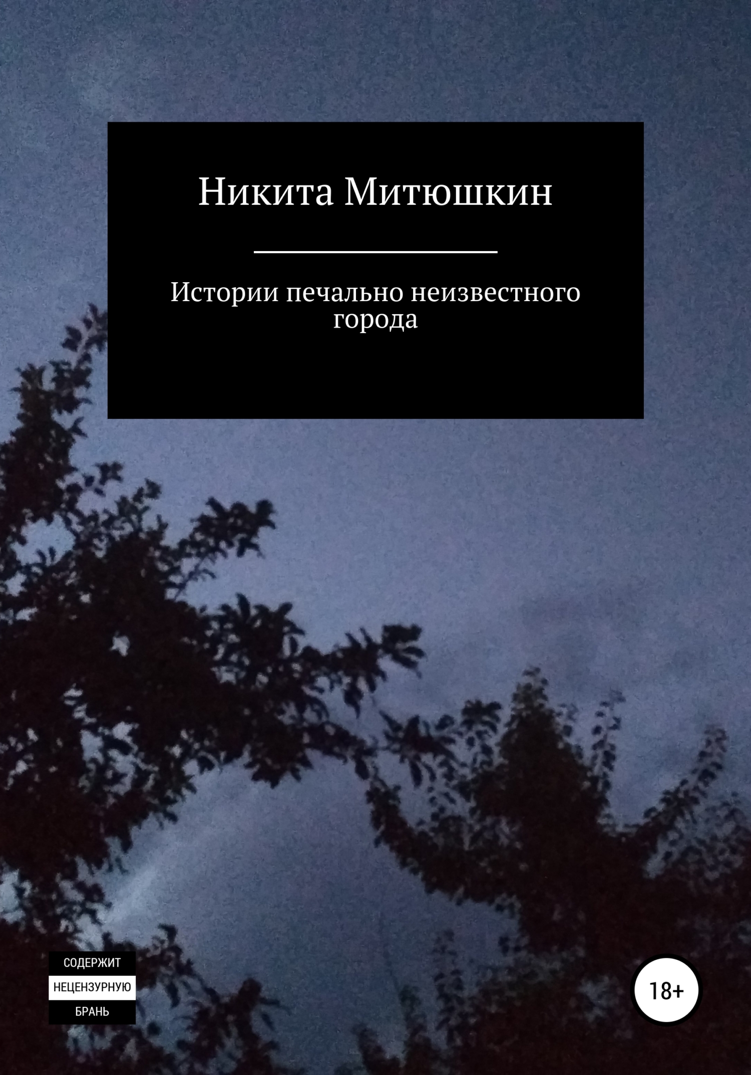 Истории печально неизвестного города - Никита Митюшкин - <a href=