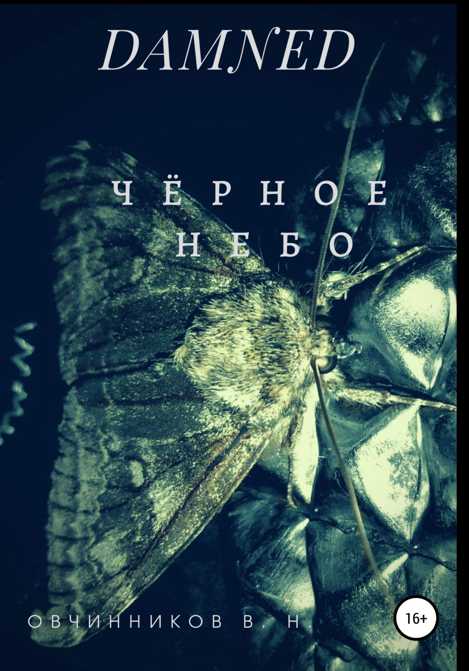 DAMNED. Чëрное небо - Виктор Николаевич Овчинников - <a href=