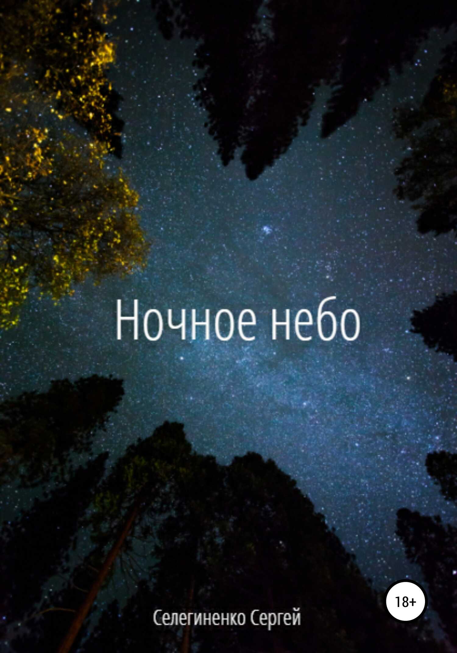 Ночное небо - Сергей Александрович Селегиненко - <a href=