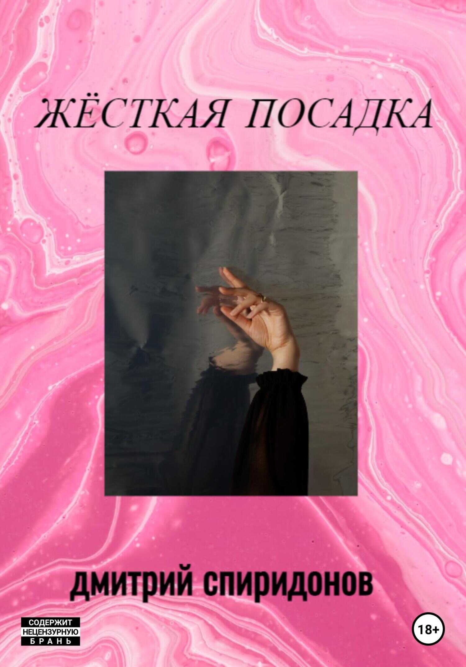 Жёсткая посадка - Дмитрий Спиридонов