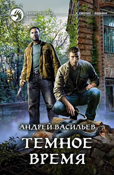 Темное время - Андрей Васильев