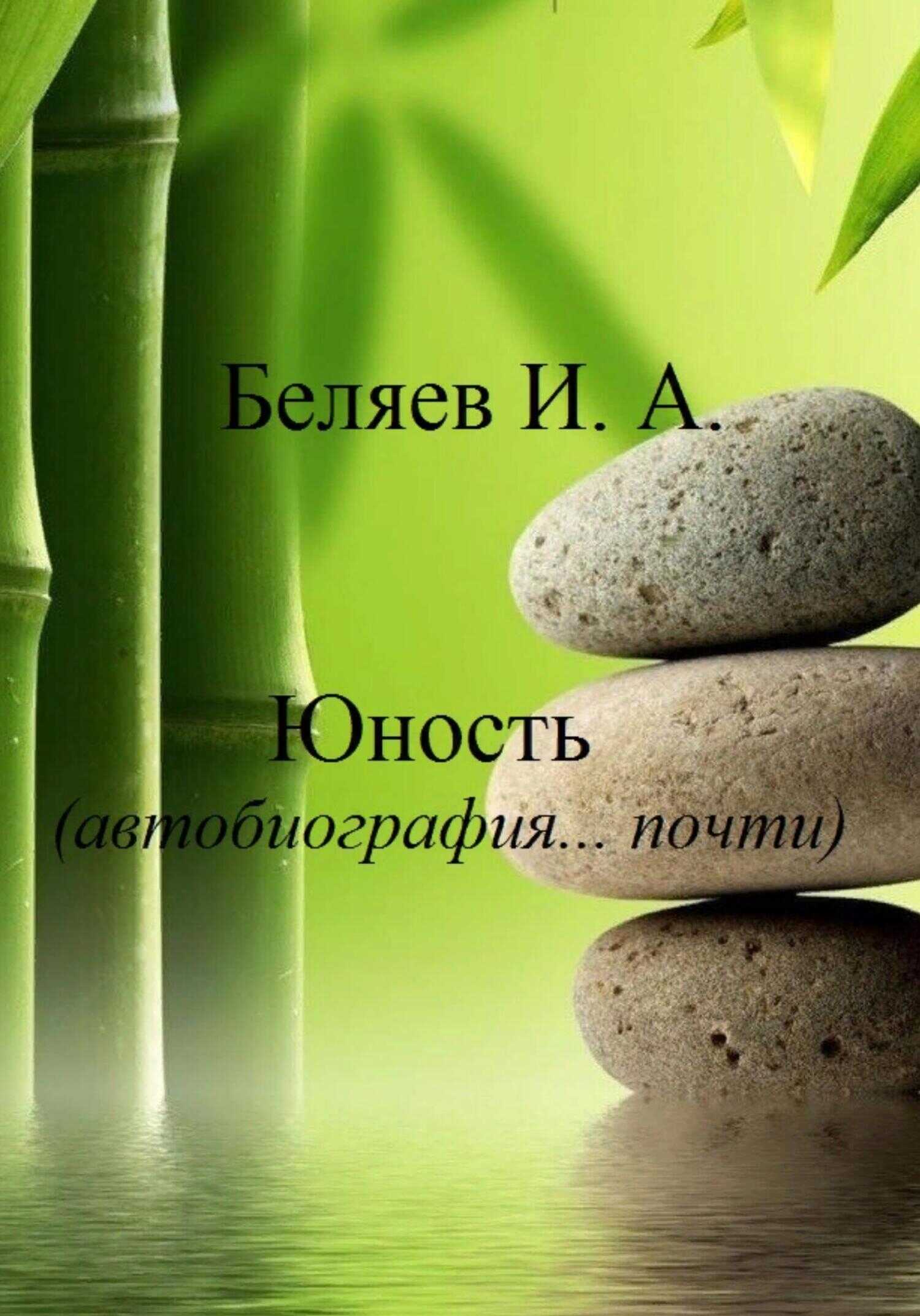 Юность. Автобиография… почти. Книга вторая. Цикл «Додекаэдр. Серебряный аддон» - Илья Андреевич Беляев