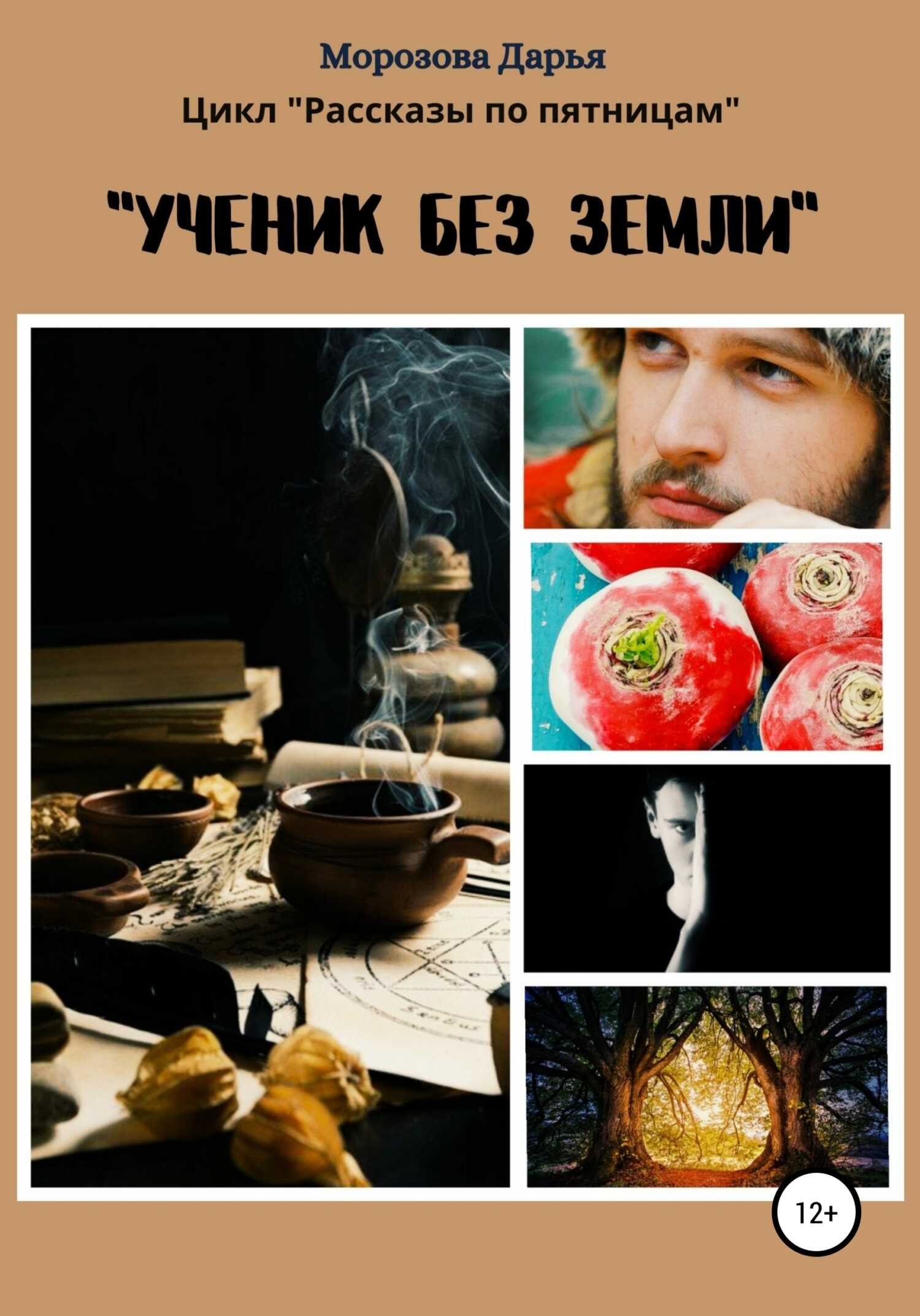 Ученик без земли - Дарья Вячеславовна Морозова - <a href=