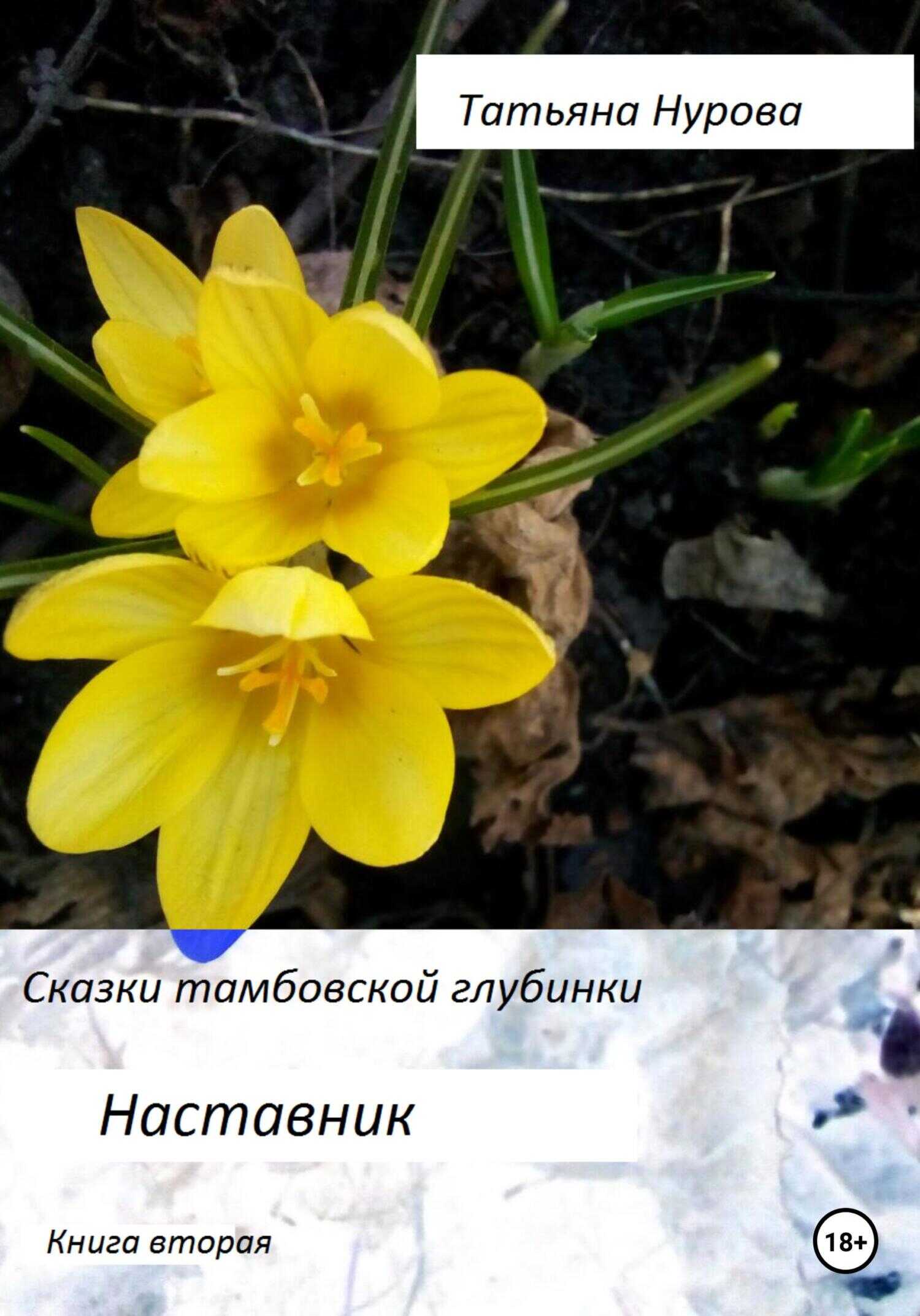 Сказки тамбовской глубинки. Вторая книга. Наставник - Татьяна Анатольевна Нурова - <a href=