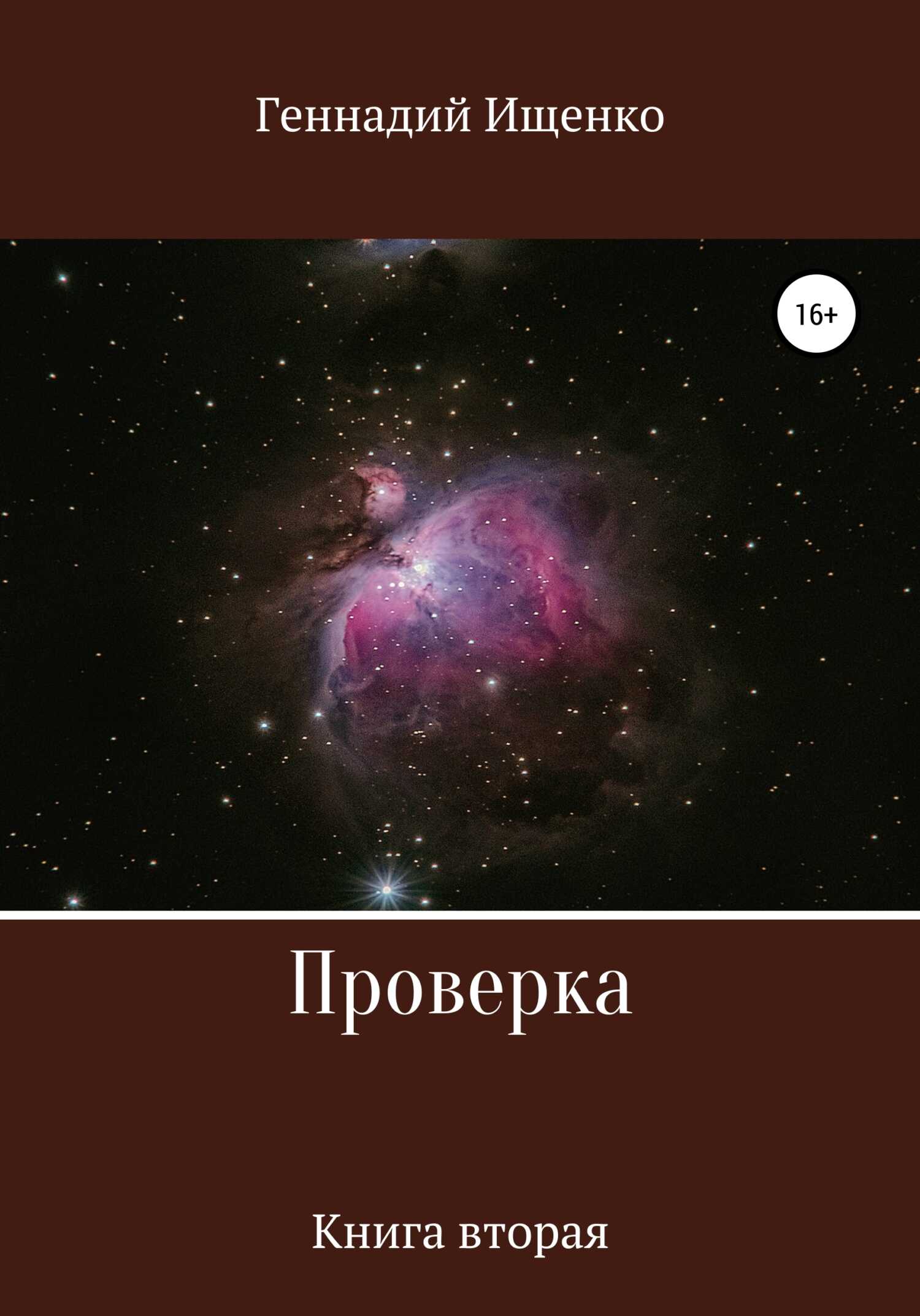 Проверка. Книга вторая - Геннадий Владимирович Ищенко