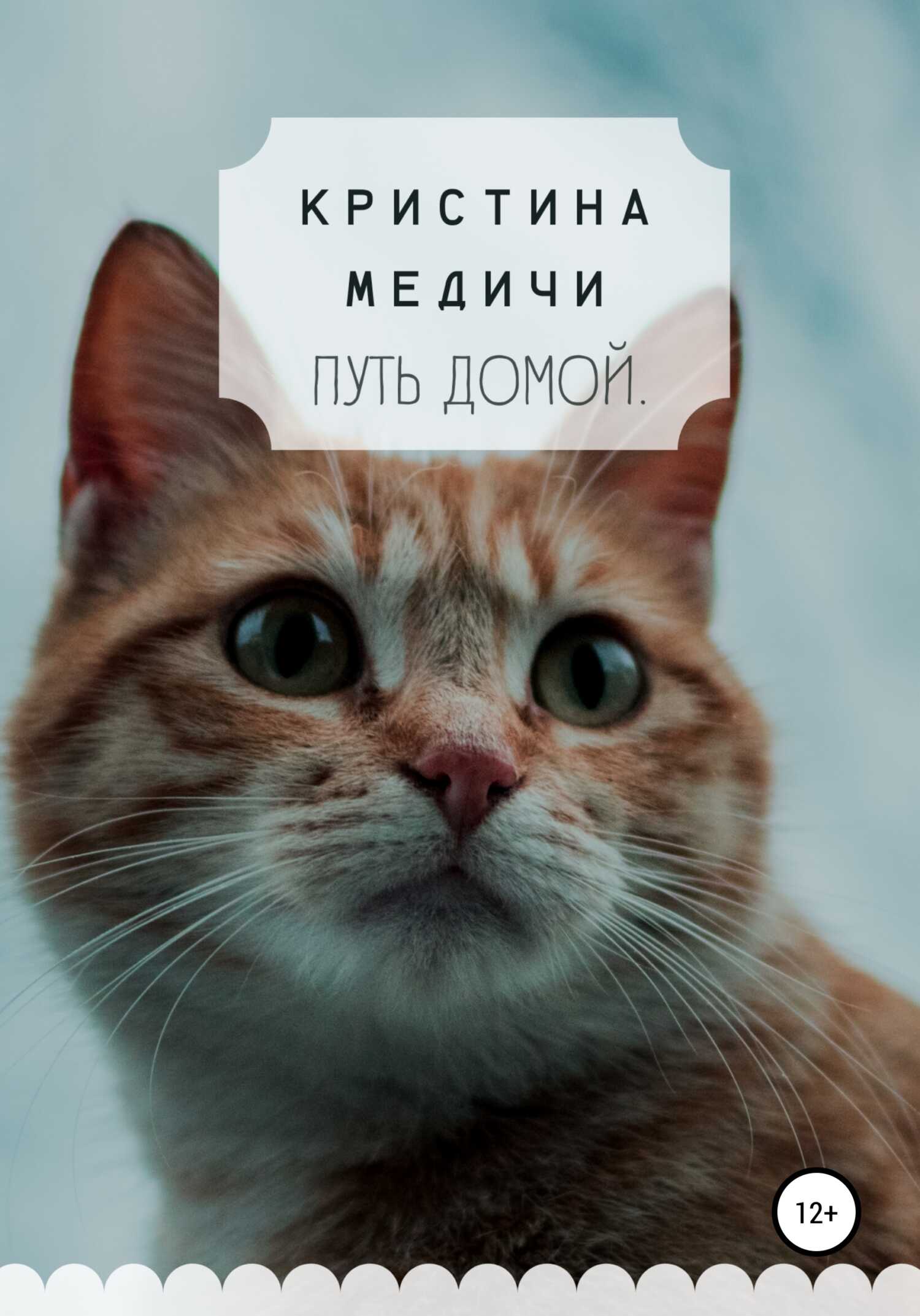 Путь домой - Кристина Медичи - <a href=