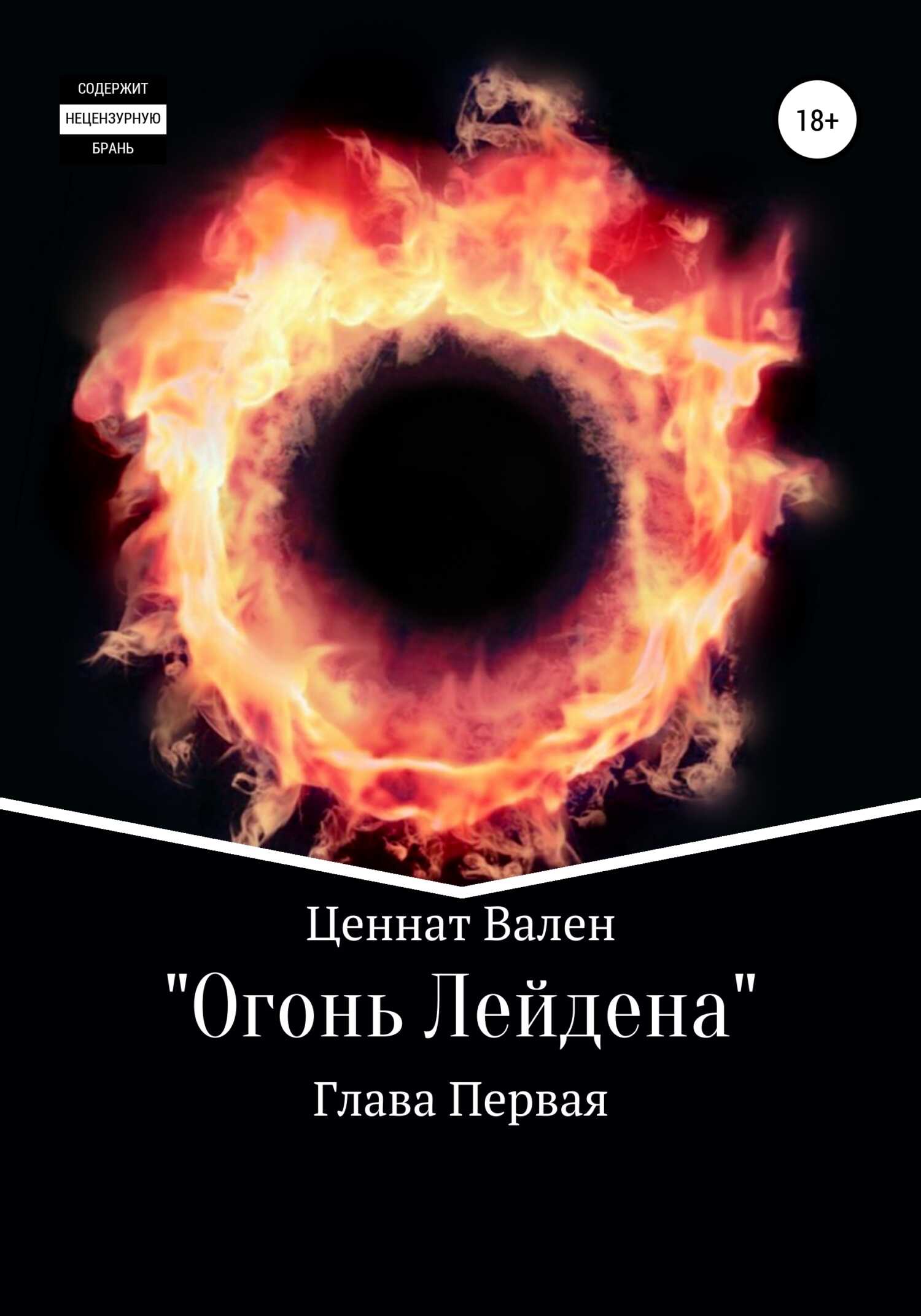 Огонь Лейдена. Глава первая - Омар Магомедович Идрисов - <a href=