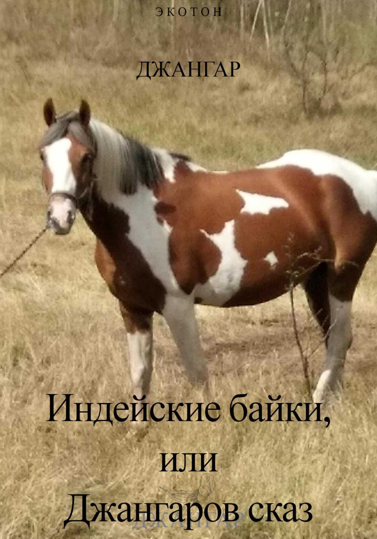 Индейские байки, или Джангаров сказ! - Джангар
