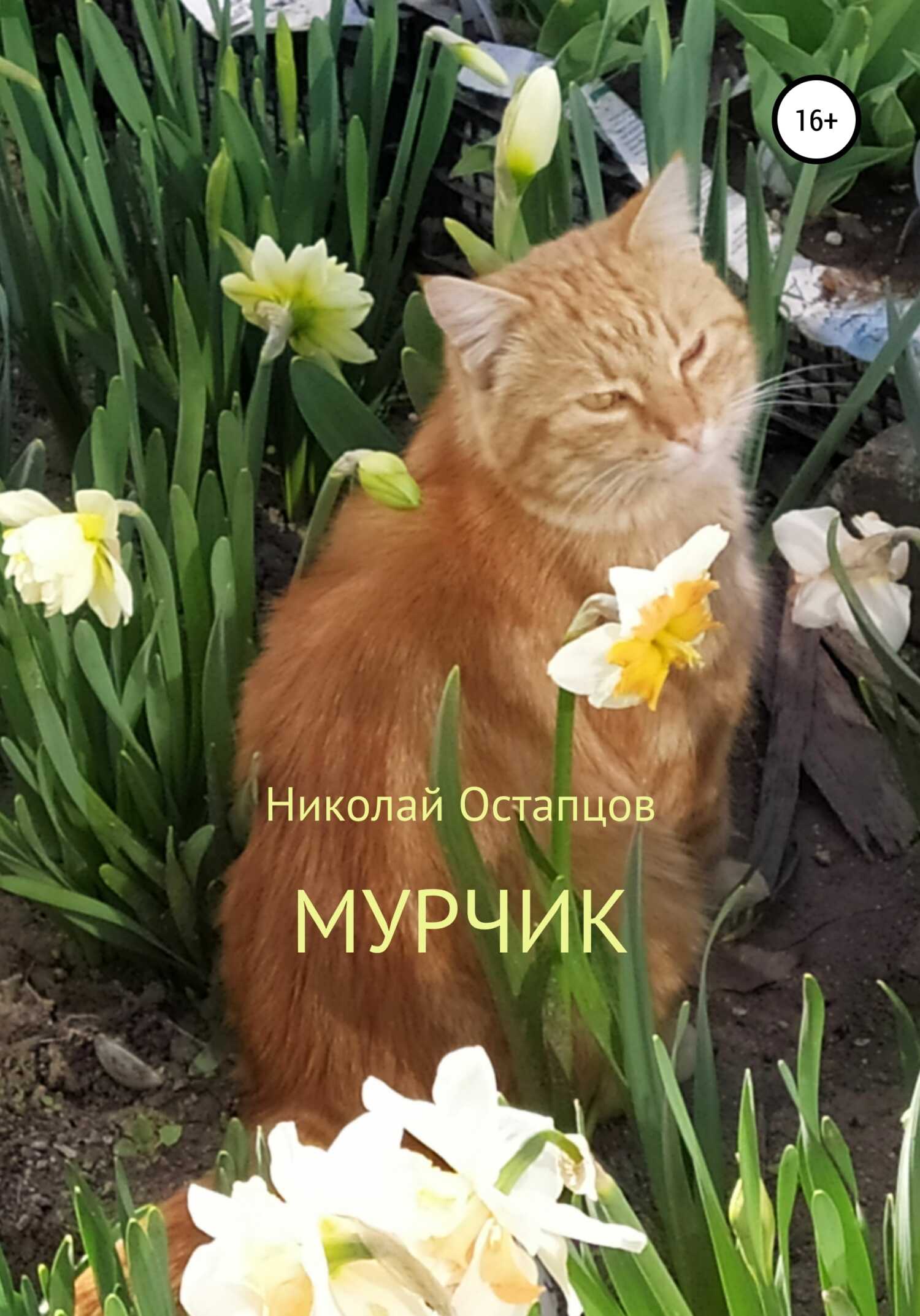 Мурчик - Николай Ричардович Остапцов - <a href=