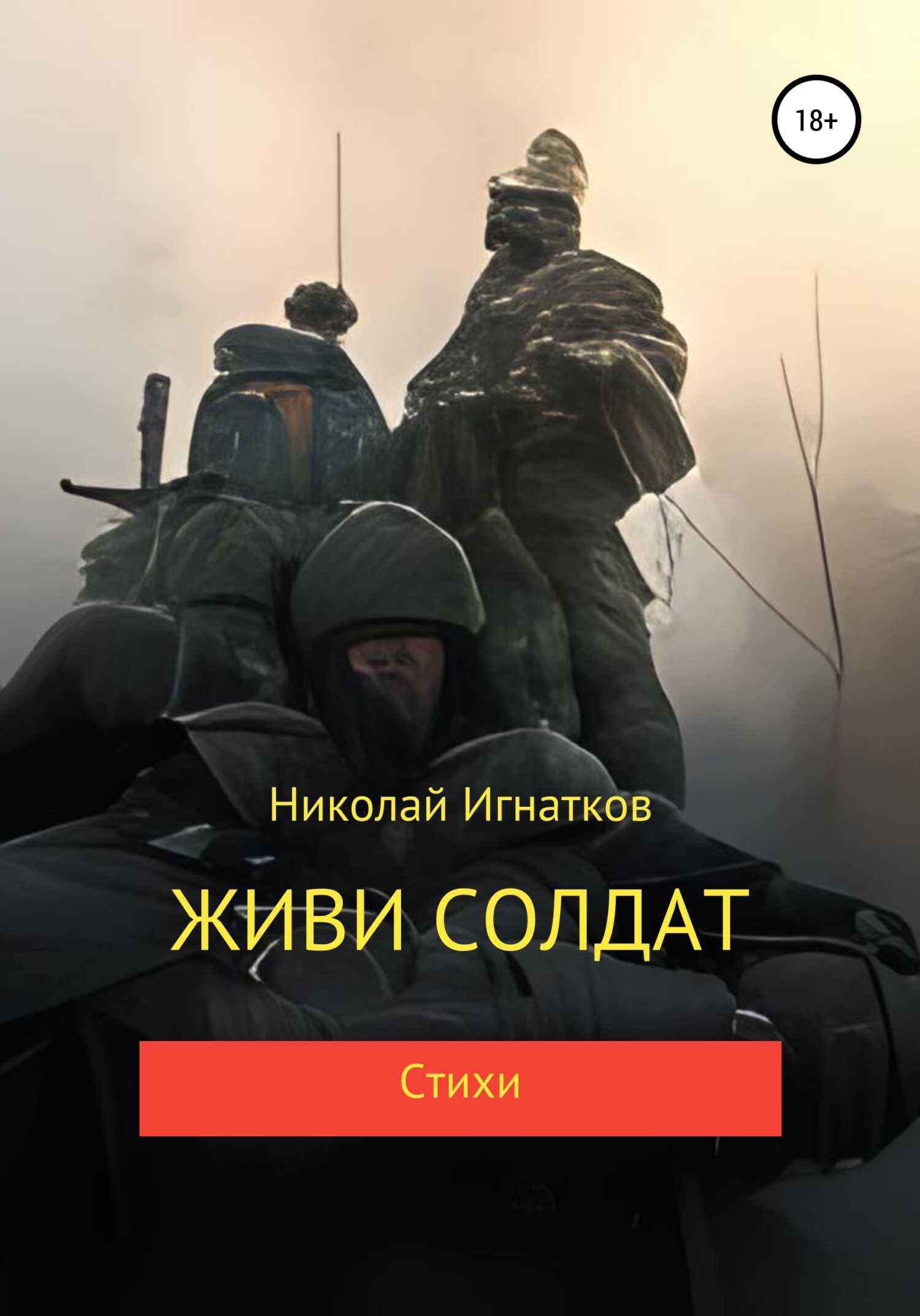 Живи солдат - Николай Викторович Игнатков - <a href=
