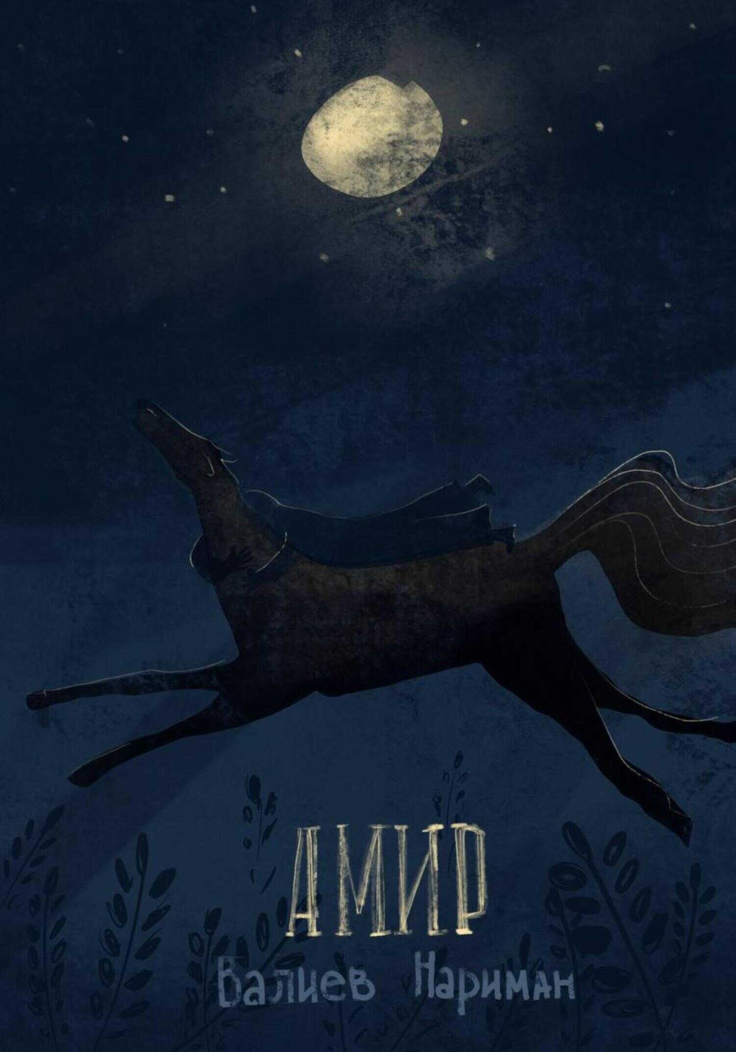 Амир - Валиев Нариман - <a href=