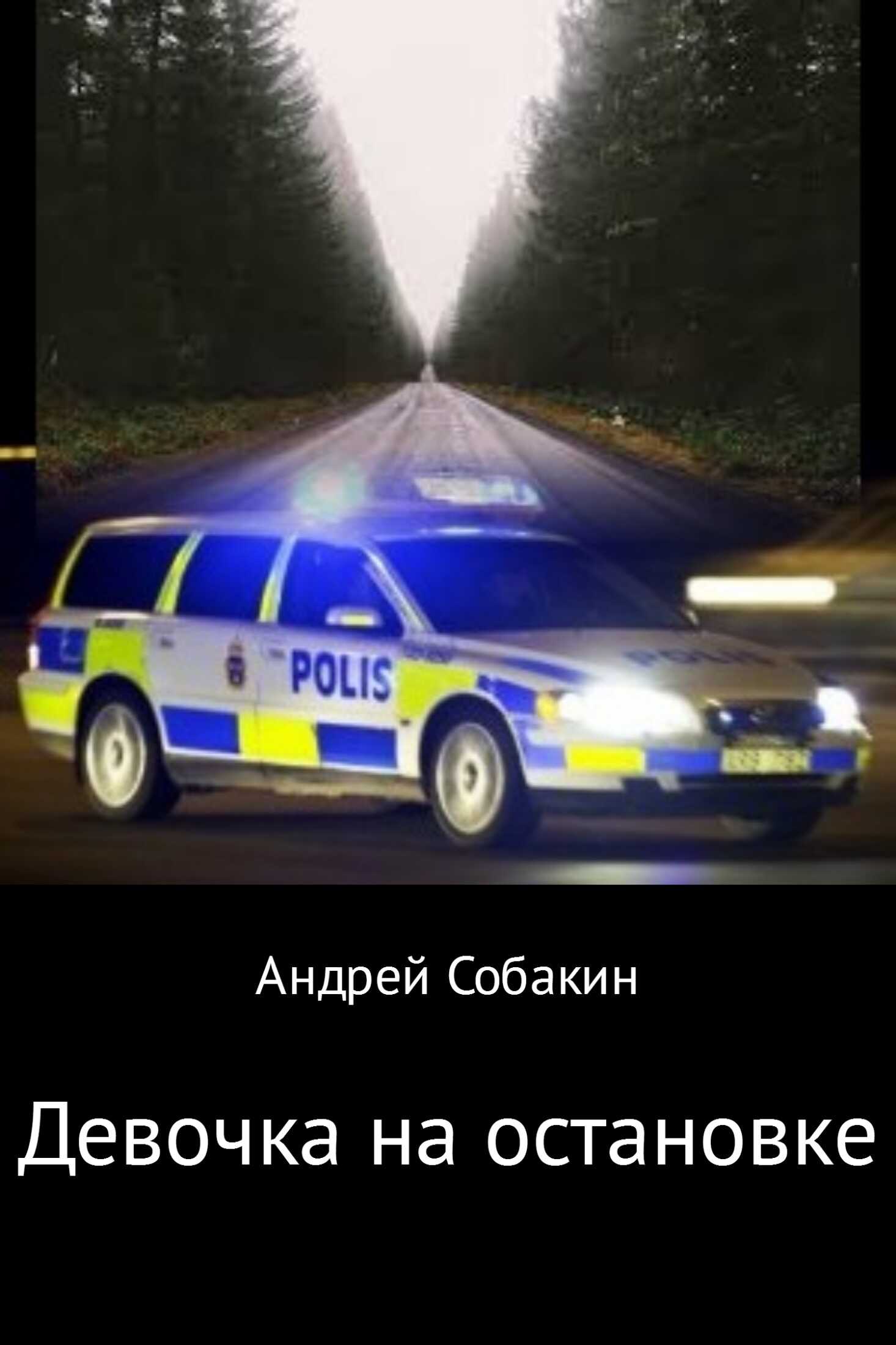 Девочка на остановке - Андрей Собакин - <a href=
